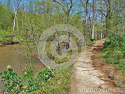 Buckquarter Creek Trail in Eno River State Park Stock Photo